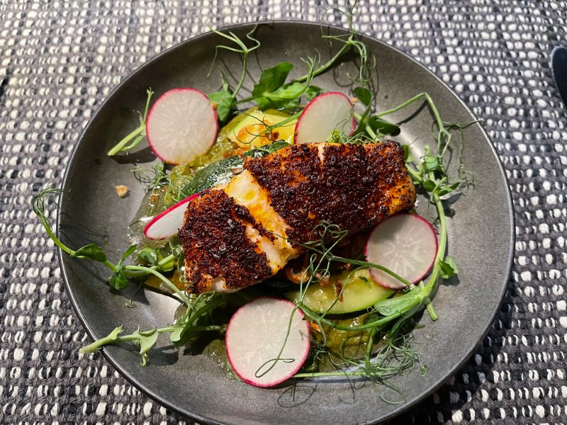 Snapper
